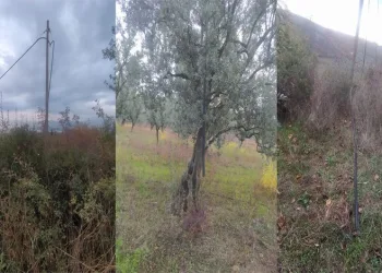 Bursa’da bu köy hırsızların hedefi oldu