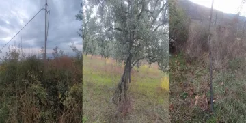 Bursa’da bu köy hırsızların hedefi oldu