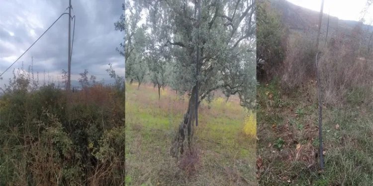 Bursa’da bu köy hırsızların hedefi oldu