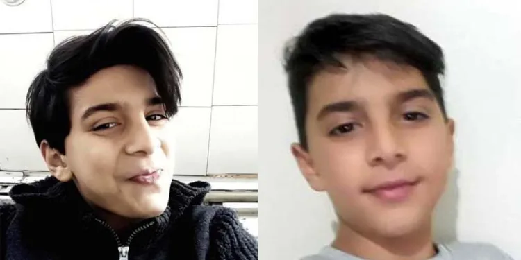 Okuldan dönen çocuğu sokak köpekleri parçaladı