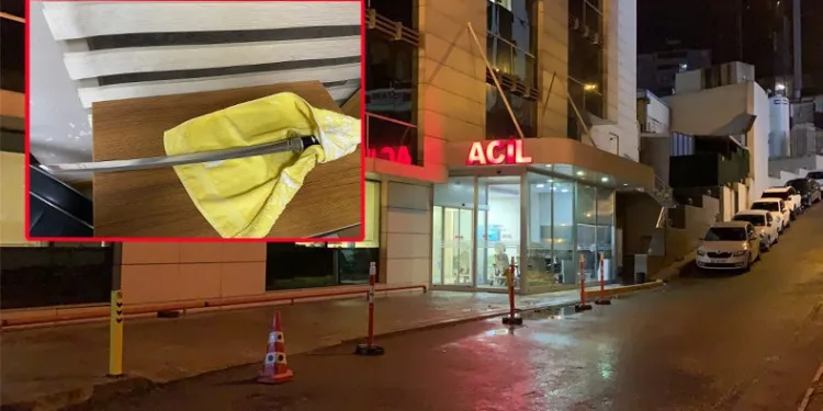 Samuray kılıcıyla kadın cinayeti