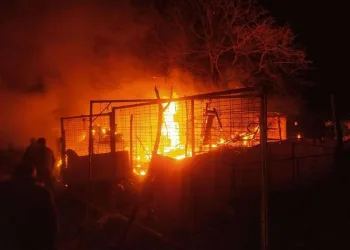 Bursa’da 160 küçükbaş son anda kurtarıldı