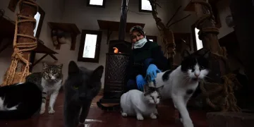 Bursa’da sobalar kediler için yandı