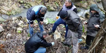 Bursa’da dereye yuvarlanan yavru ayı kurtarıldı