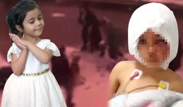 Pitbull saldırısına uğrayan Asiye bugün uyandırılacak