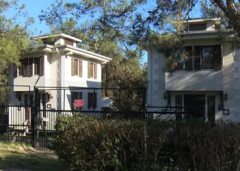 Bursa’da engelli kedilere özel villa