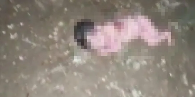 Bahçede yeni doğmuş bebek bulundu