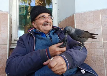 Dostlukları 1 yıl önce başladı! Her gün elleriyle besliyor