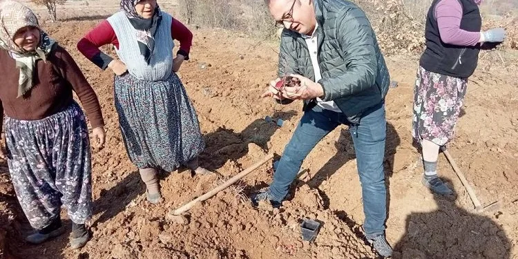 Mavi yemişe 145 bin liralık hibe