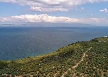Bursa Mudanya Belediyesi’nden ‘Deniz Çalıştayı’