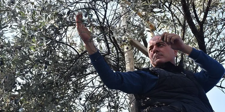 Sertaslan’dan Marmarabirlik’e fiyat güncellemesi çağrısı