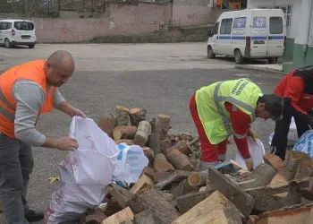 Mustafakemalpaşa’da budanan ağaçlar ihtiyaç sahiplerine verilecek