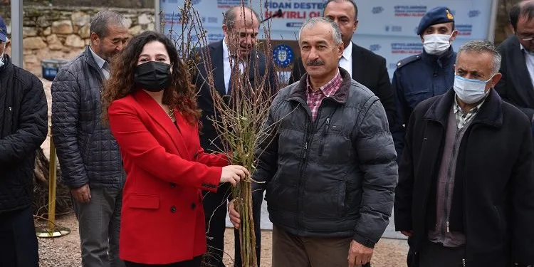 Bursa dağ yöresi meyvecilikle kalkınacak