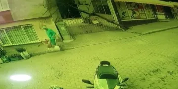 Devrilen ağacın altında kalmaktan son anda kurtuldu