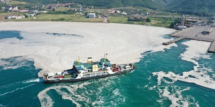 Marmara Denizi’ni bekleyen felaket