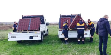 Bursa’da sahipsiz hayvanlara mama ve barınak desteği