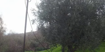 Bursa’da kablo hırsızları suçüstü yakalandı