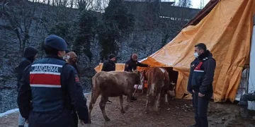 Bursa’da çaldıkları hayvanları satarken yakalandılar