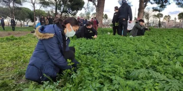 Bursa’da tarlada ders yapıp üstüne para kazanıyorlar