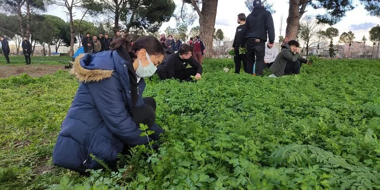 Bursa’da tarlada ders yapıp üstüne para kazanıyorlar