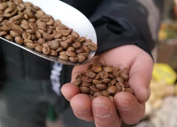 Fiyatı 30 TL’den 200 TL’ye yükseldi
