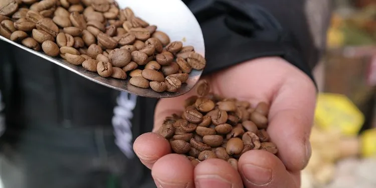 Fiyatı 30 TL’den 200 TL’ye yükseldi