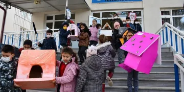 Bursa’da öğrencilerden kedilere sıcak yuva