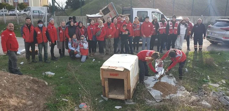 Bursa’da fabrika atıkları can dostlarına yuva oluyor