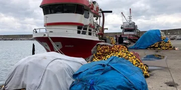 Son 10 yılın en kötüsü! Balıkçılar sezonu kapattı