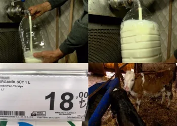 Üreticide 3,30 markette 18 lira