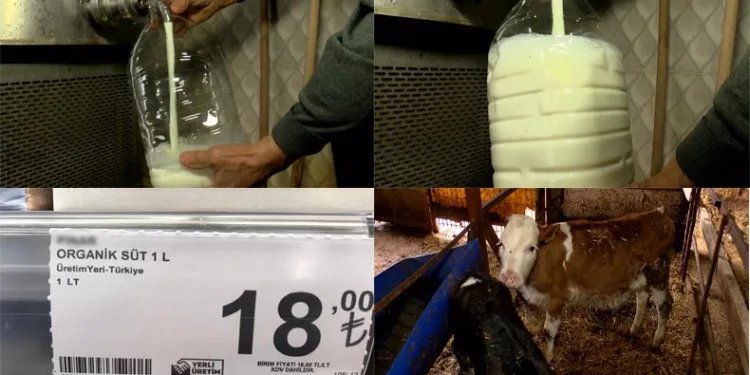Üreticide 3,30 markette 18 lira