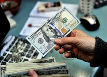 Merkez Bankası’ndan dövize beşinci müdahale