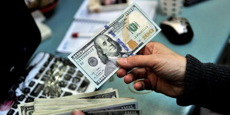 Merkez Bankası’ndan dövize beşinci müdahale