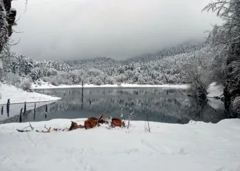 Doğa yürüyüşü ölümle bitti