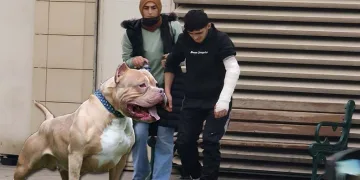 Bursa’da 18 yaşındaki genç pitbull saldırısına uğradı