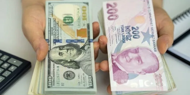 Dövize endeksli TL mevduatı detayları belli oldu