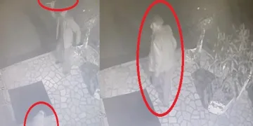 Bursa’da engelli köpeği sopayla dövdü
