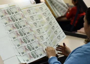 Yeni banknotlar tedavüle giriyor