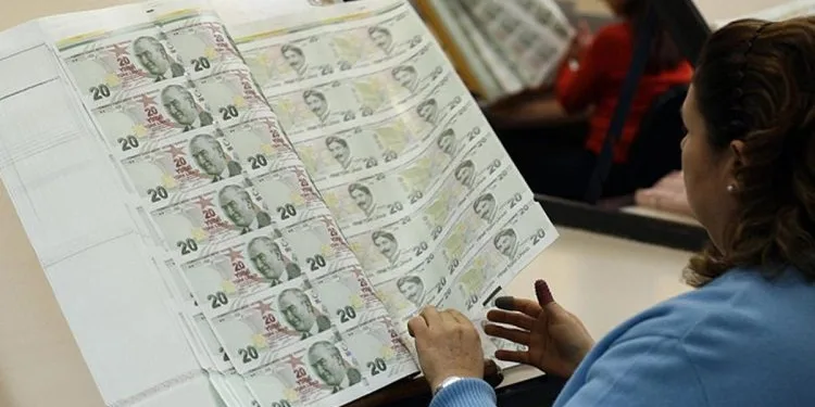 Yeni banknotlar tedavüle giriyor