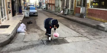 Bursa Osmangazi’de haşerelere karşı ilaçlama