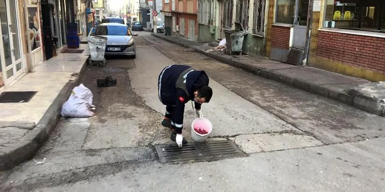 Bursa Osmangazi’de haşerelere karşı ilaçlama