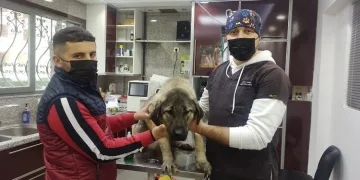 Komşusunun havlayan köpeğini vurdu