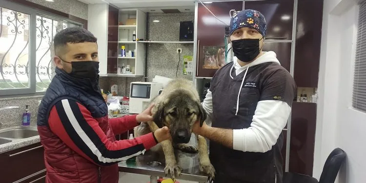 Komşusunun havlayan köpeğini vurdu