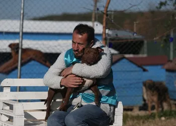 Bursa’da sokağa bırakılan pitbullar ile dost oldu
