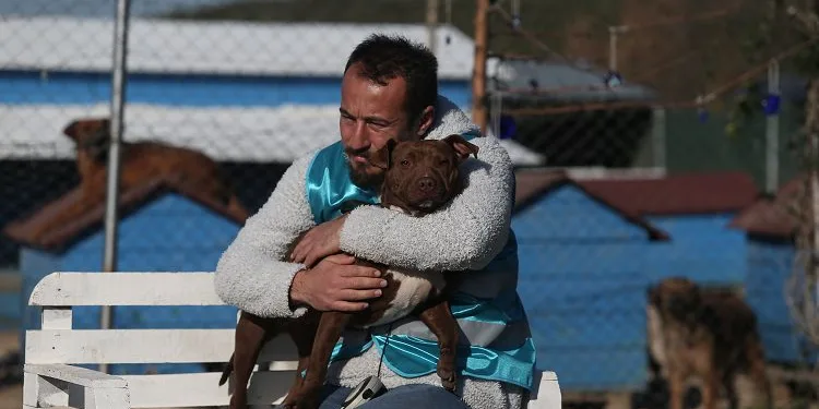 Bursa’da sokağa bırakılan pitbullar ile dost oldu