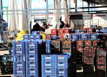 Soğuk hava etkisi!Fiyatlar yüzde 50 arttı