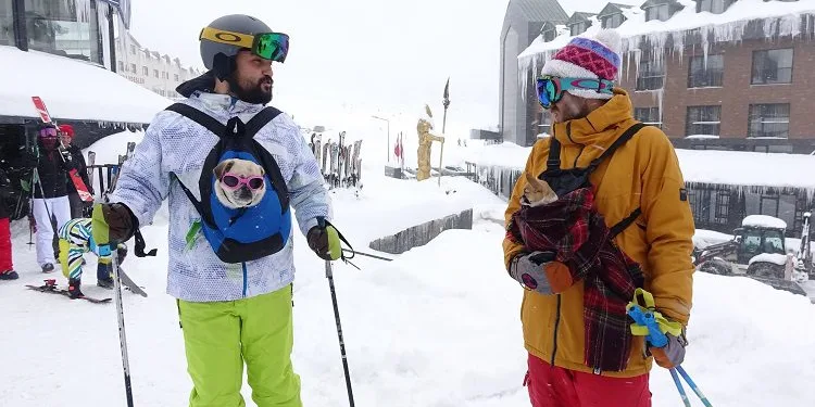 Uludağ’da evcil hayvanlara 5 yıldızlı tatil