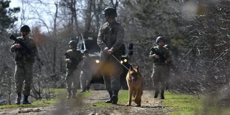 FETÖ ve PKK üyeleri sınırda yakalandı