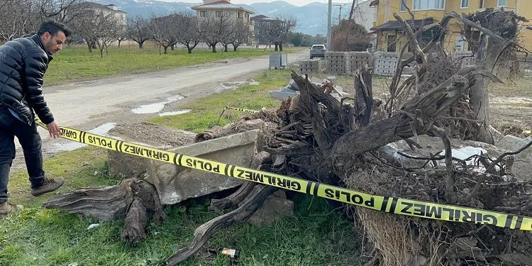 Bursa’da tarihi eserler parçalanmış halde bulundu