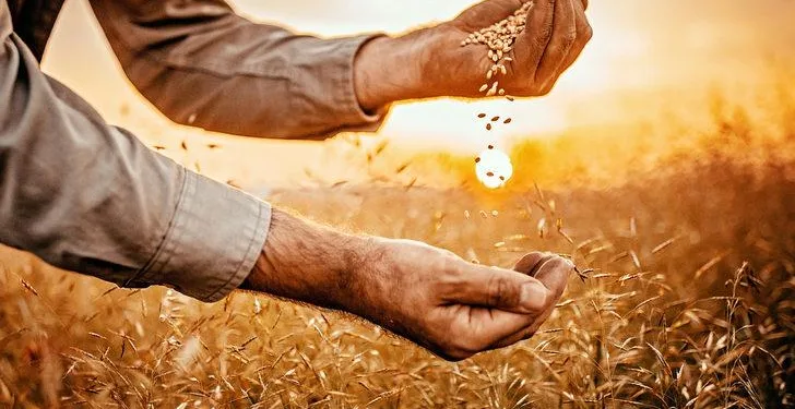 TMO yılbaşında yaptığı zamları geri çekti